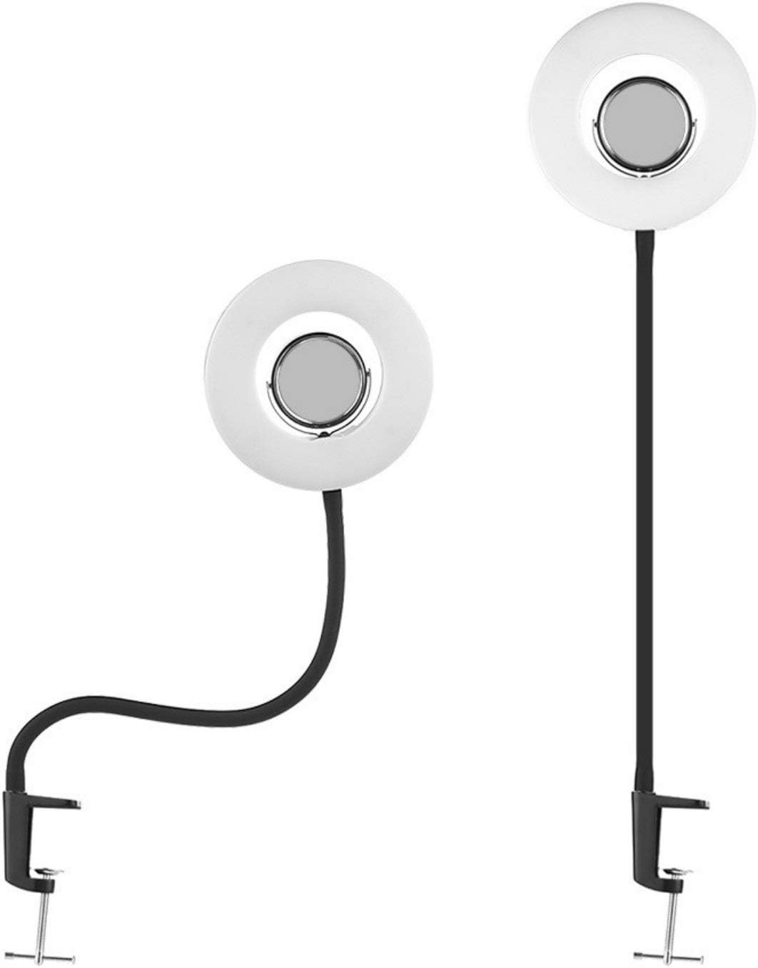 絵画４号　Shinkichi Hokonoki　深緑色のかぼちゃとユリ（横向き） 絵画4号 Shinkichi Hokonoki 深緑色のかぼちゃとユリ（横向き