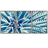 SIGNWIN Framed Canvas Wall Art Sharp Pointed Agave Plant Leaves Botanical Succulent Photography Minimalism Contemporary Closeup Dramatic for Living Room, Bedroom, Office - 16