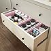 Simple Houseware Underwear Drawer Organizer for Lingerie/Undergarment/Bra/Panty/Sock/Onesie, Set of 6, Pink