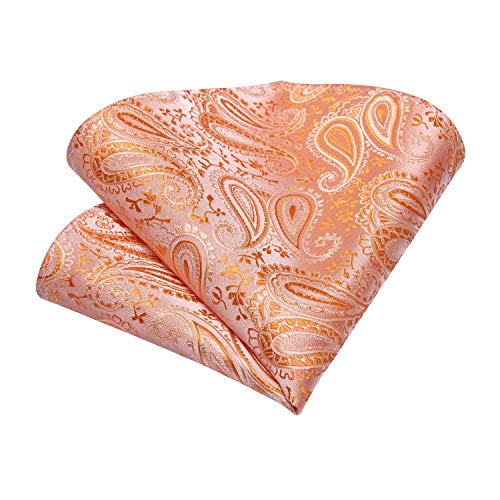 Image of DiBanGu Silk Ties for Men Necktie and Lapel Pin Brooch Set Formal Woven Paisley Plaid Striped Solid Tie Wedding Party
