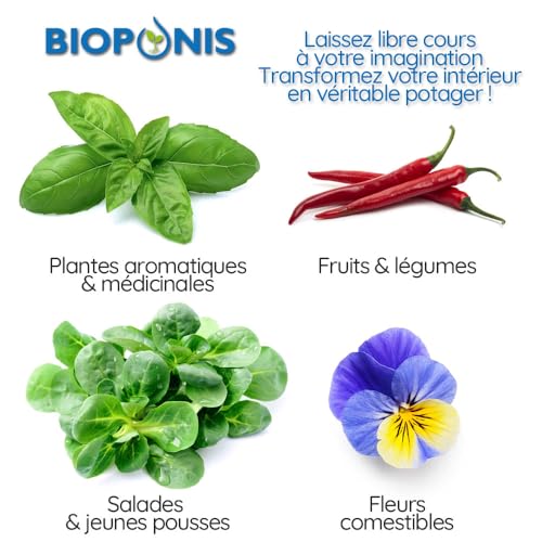 Bioponis Quadratischer Anzuchtkorb für Hydrokultur-Innenbeete – 10 Stück