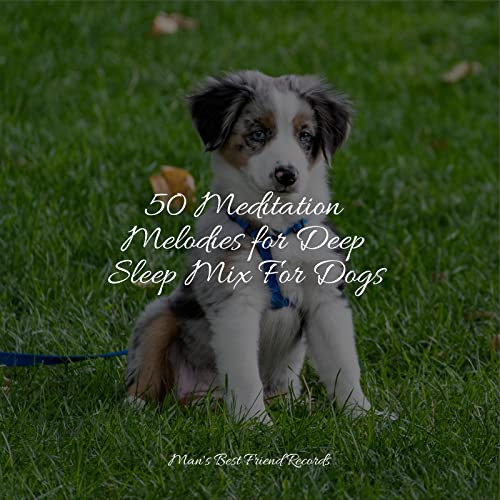 Amazon Music Unlimited Jazz Music Therapy for Dogs, Relaxmydog & Jazz