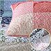 Qucover Cubrecama para Cama 135/Cama 150/Cama 160,220x240cm y 2 Fundas de Almohada,Patchwork...