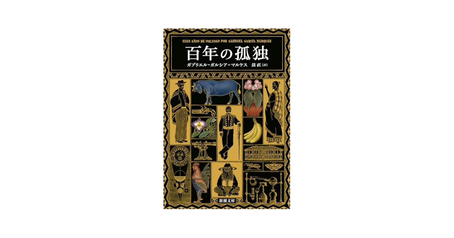 孤独 日本語 2枚セット Amazon.com: One Hundred Years of Solitude (Japanese Edition