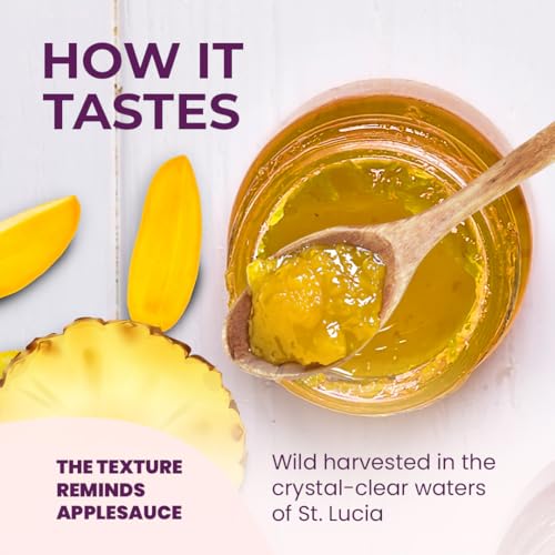 Healthy Herbs Sea Moss Gel (Sweet Mango Pineapple) Wildcrafted From Jamaican St Lucia Gold Seamoss | Wild-Harvested Superfood Rich In Essential Vitamins & Minerals | Vegan, Non-GMO, US-Made (16 oz.) - Image 6