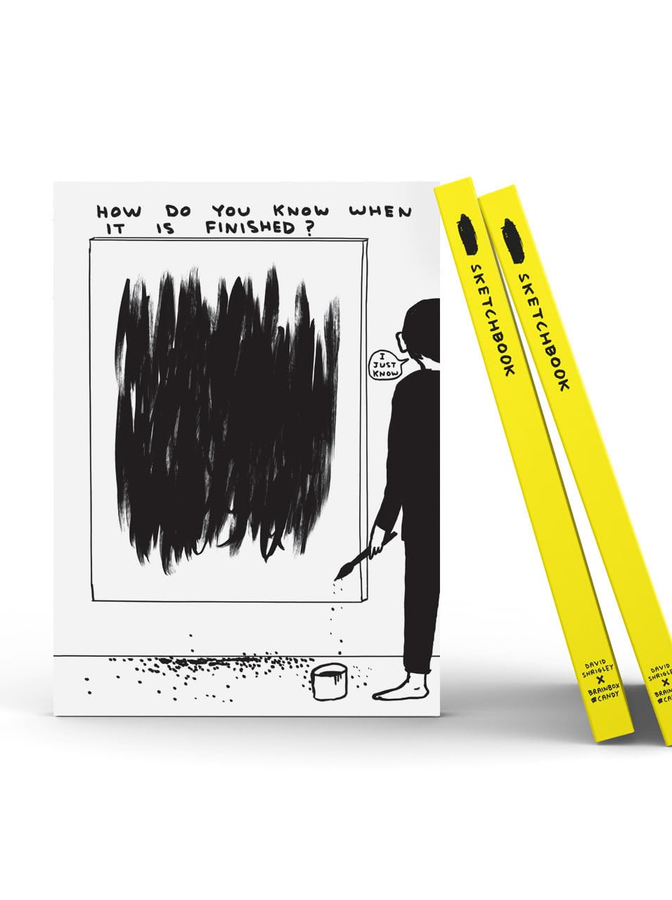Brainbox Candy White Official David Shrigley - Artist Sketchbook - Funny A5 Sketchpad - 'How Do You Know' - Drawing Artwork - 144 Blank Pages - Sold By