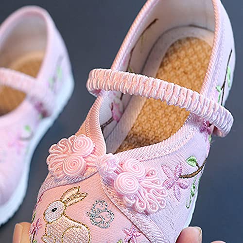 Generic Oink Slides Girls Flat Bottomed Embroidered Sandals Fashionable Costume Children Performance Sandals Simple Apparel (Pink, 2.5 Big Kids)4