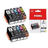 ColorInk PGI-5 CLI-8 Large Capacity Ink Cartridges PGI5 CLI8 New Updated Chips Replacement for Canon PIXMA iP4200 iP4500 iP5200 MP-500 MP-530 MP-830 MP-950 MX-850 (PGBK2,BK2 C2 M2 Y2,Total 10 Pack)