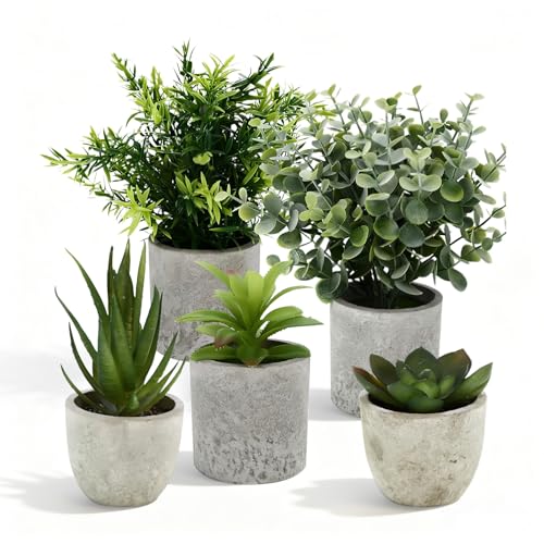 Novaridor Set de 5 Planta Artificial Pequeña, Plantas Artificiales Decorativas, Plantas de Plástico Pequeñas para Salón, Dormitorio u Oficina, Decoracion Baño Moderna, Elegante