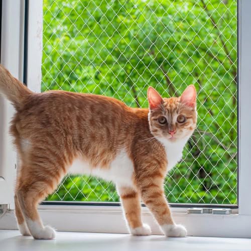 heqxwl Nylon Katzenschutznetz Katzennetz für Balkon Ohne Bohren Transparent Können Zuschneidbar und Bissfest Balkonnetze für Katzen zur Absicherung von Terrasse, Fenster und Türen (3x3 m)