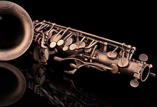 Image of GLORY High Grade Antique Finish Series PR1, E Flat Alto Saxophone with 11reeds,8 Pads Cushions,case,carekit