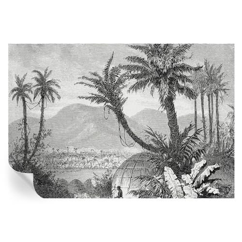 Cubiertas de oasis tropical 152x104 cm y vinilos decorativos de pared 2