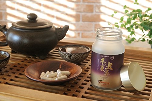 Amazon | 藤原 冬虫夏草 とうちゅうかそう 60粒入 / チベット高原産