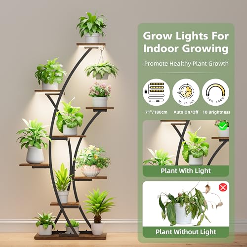 Image of Plant Stand Indoor with Grow Lights: 64 inch 2 Pack Large Plant Stands, 8 Tiered Curved Plant Shelf for Indoor Plants Multiple, Tall Lighted Corner Display Stands, Flower Holder for Living Room, Patio
