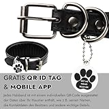 FAVPET Echtleder Windhund Halsband mit QR Code Anhänger, Weiches Lederhalsband Hund Breit Whippet Italienisches Windspiel Saluki Lurcher Spanischer Galgo Greyhound Podenco, Hundehalsband Leder (XS)