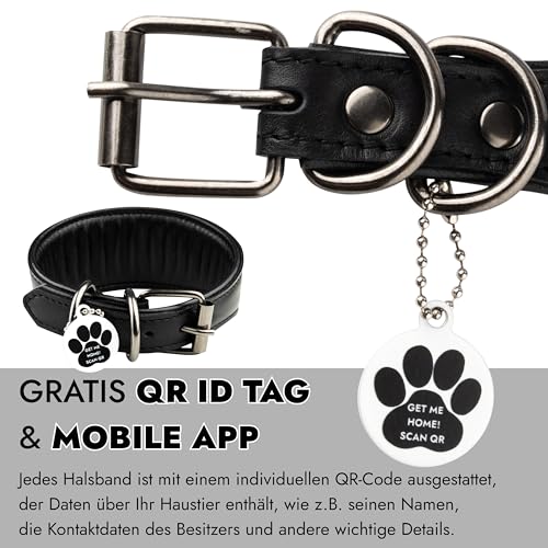 FAVPET Echtleder Windhund Halsband mit QR Code Anhänger, Weiches Lederhalsband Hund Breit Whippet Italienisches Windspiel Saluki Lurcher Spanischer Galgo Greyhound Podenco, Hundehalsband Leder (XS)