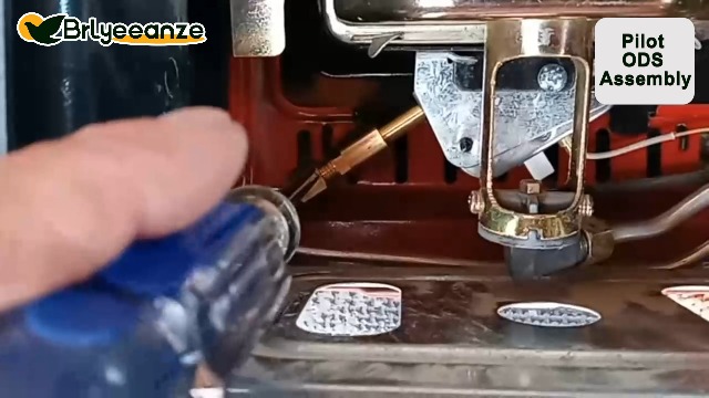 Amazon.com: Brlyeeanze 78422/F278527 Pilot Assembly ODS Compitable