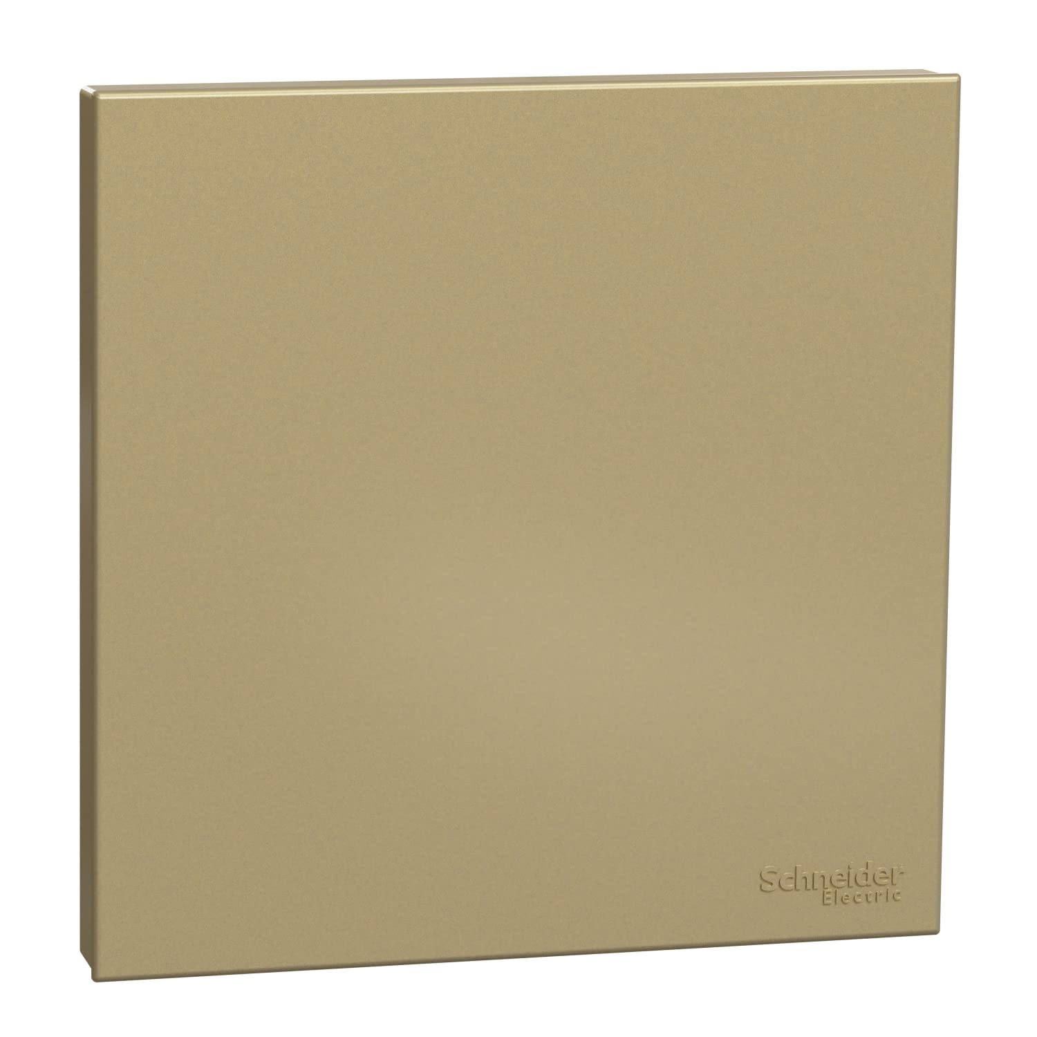 Schneider Electric Avataron C Blank Plate E8730X_WG, 1 Gang, Wine Gold