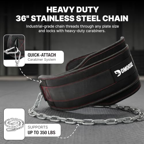 DMoose Fitness Dip Belt for Weight Lifting, Pullup, Squats & Dips - 36" Robust Steel Chain, Comfortable Neoprene Padding Supports 350lbs - Gym Weight Belt for Strength Training Workout & Weightlifting