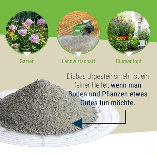 Schicker Mineral Diabas Urgesteinsmehl sandig 25 kg, Lava Gesteinsmehl 0-2 mm versorgt Garten und Boden natürlich mit Mineralien, 100% Naturprodukt, Bodenhilfsstoff, Bodenverbesserer, Fibl gelistet