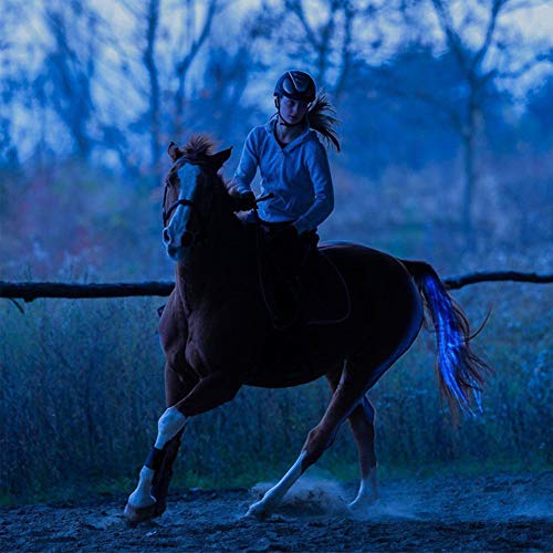 Flytianmy 100CM Horse Tail USB Lights Chargeable LED Horse Harness Equestrian Outdoor Sports The Lights Horse Tail Blue