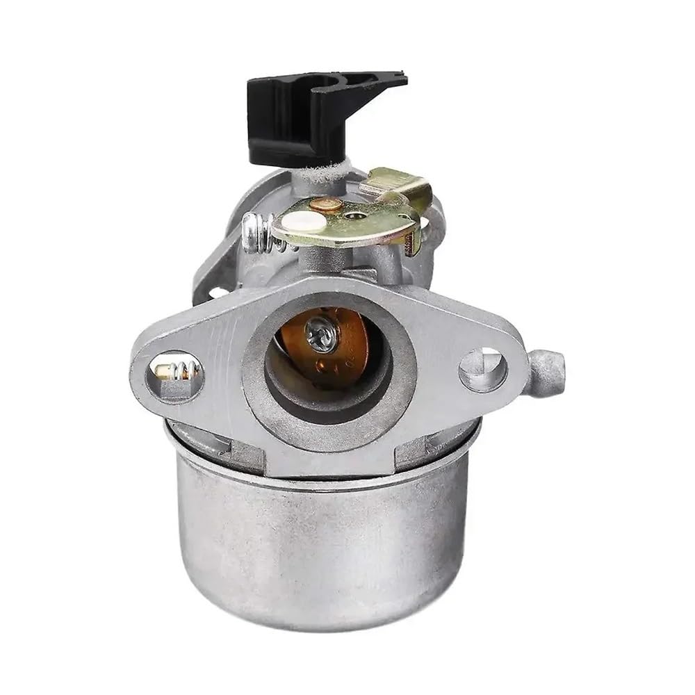 Carburateur 498965 moteur tondeuse pièce de rechange OEM 494216 493422 motoculture
