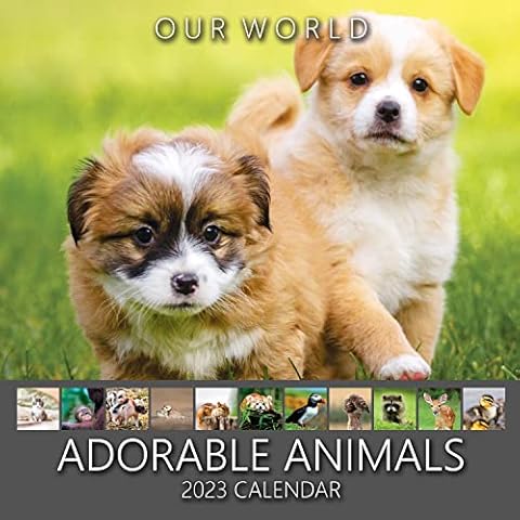 Our World Adorable Animals Wall Calendar 2023 - Large Family Planner & Daily Organiser with Monthly Animal Calendar Image - Gift, Christmas Stocking Filler & Slim Design 2023 Wall Planner Cover