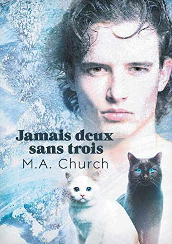 Télécharger Jamais deux sans trois Livre PDF Gratuit