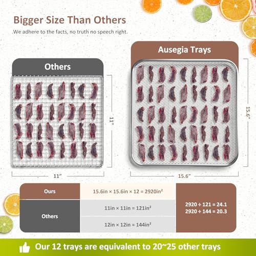 Commercial Large 12 Trays Food Dehydrator, Usable Area up to 22.67ft², 1200W Full Stainless Steel Dryer Machine, up to 190℉ Temperature, for Meat, Fruit, Veggies, Beef, Herbs, Pet Foods
