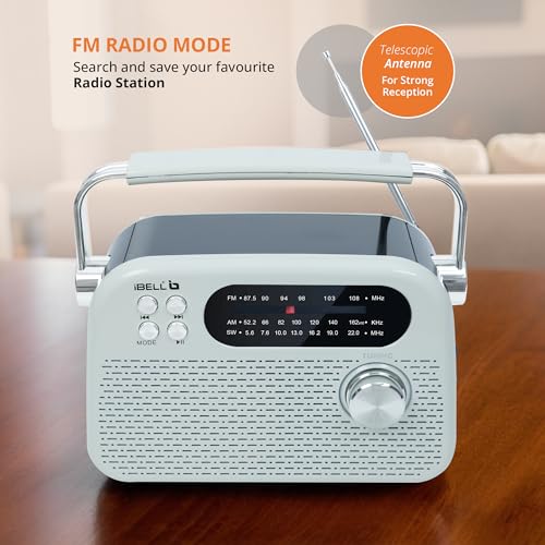 Image of iBELL FM730BT Wireless FM Radio Bluetooth Speaker, Portable MP3 Player with USB & SD Card