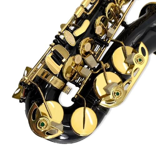 Image of Alto saxophone for beginners adult E Flat Saxophone Beginner Kit with Mouthpiece, Carrying Case, Straps, 10Reeds