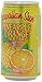 Hawaiian Sun Nectar, Pineapple-Orange, 11.5 Fl Oz (Pack of 24)