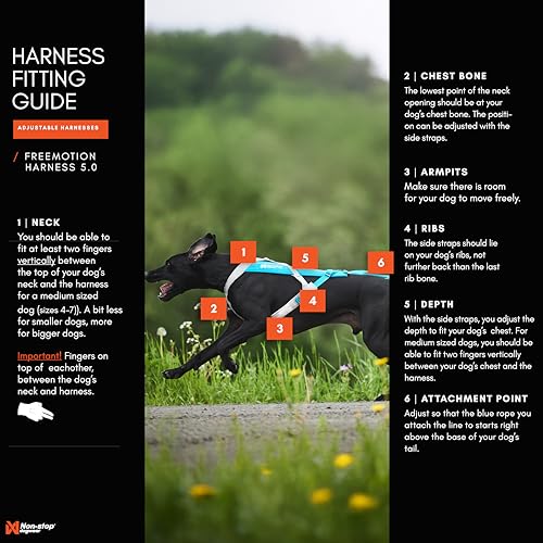Non-Stop dogwear Freemotion Harness 5.0 | Hunde-Geschirr für alle Sportarten, Größe:Größe 6