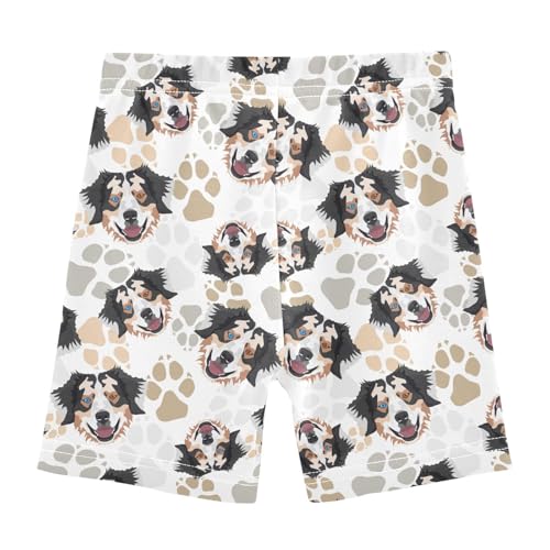 Girls' Shorts Soft Summer Soft Boxers Short Australian Shepherd Dog Leggings Dance Bottoms3