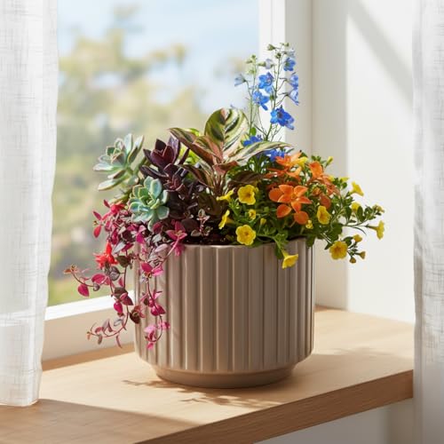 Image of Xtore Refined Ribbed Ceramic Planter Pot for Indoor Plants | Contemporary Wide Flower Pot for Home, Office Desk & Balcony Decor (Brown - Planter only)