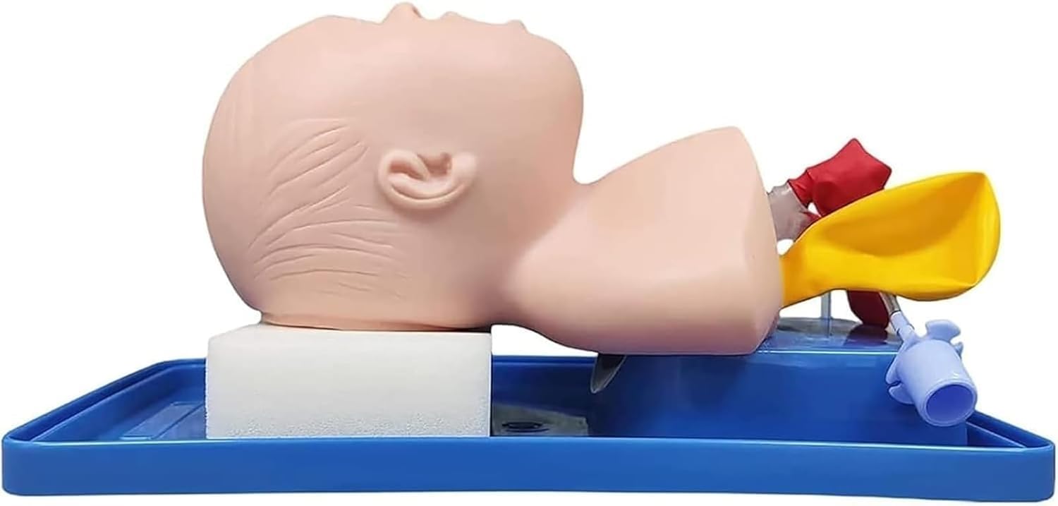 Intubazione pediatrica intubazione, istruttori di intubazione delle Vie aeree per Bambini e Baby, Modello di intubazione tracheale avanzata in PVC, addestratore di managment delle Vie aeree