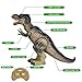 FUN LITTLE TOYS Remote Control Dinosaur for Kids, Electronic Walking & Spray Mist Large Dinosaur Toys with Glowing Eyes, Roaring Dinosaur Sound, 18.5