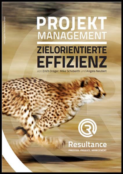 Projektmanagement Zielorientierte Effizienz: Im Sprint zum Level D ICB 4.0