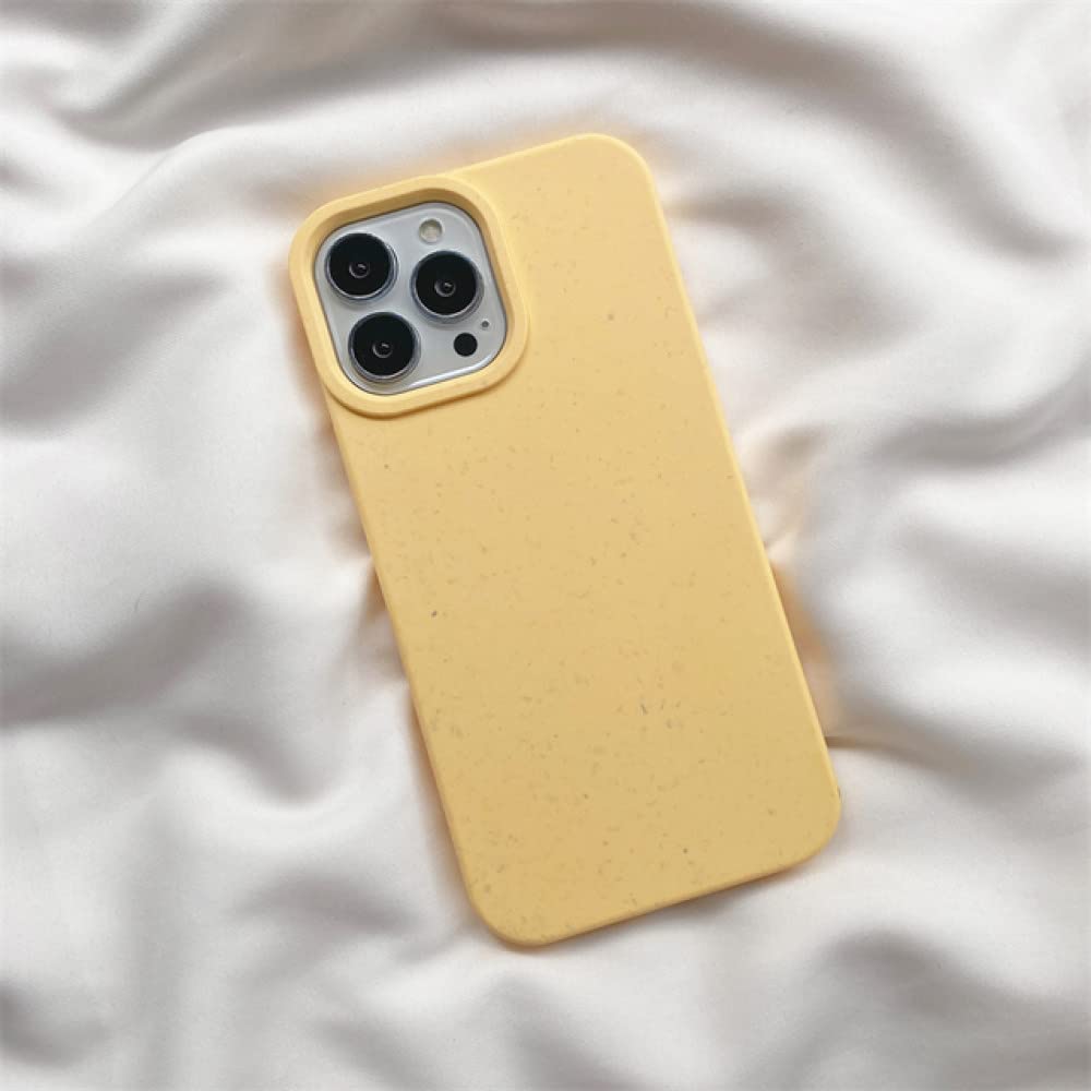 Coque iPhone 13 Pro Max anti-rayures protégeant votre smartphone