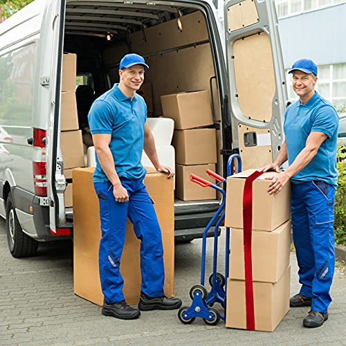 DOITOOL 6Pcs Leve Cintas Da Bagagem Amarrar Tiras Cinto Ajustável Cintas de Carga Útil de Fixação Ci