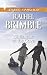 Christmas at the Cove (Templeton Cove Stories)