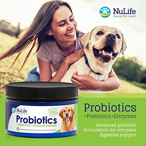 Will Probiotics Help My Dogs Yeast Infection