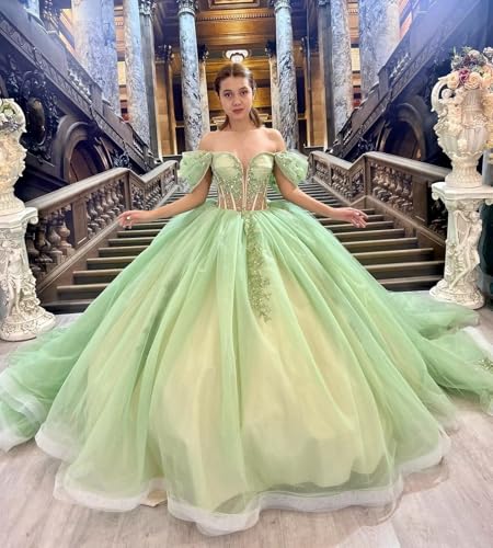 Modern 3D Floral Flowers Quinceanera Dresses Ball Gown Charro Style Mexican Homecoming Sweet 15 Dress2