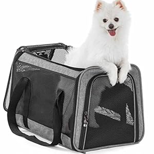 Large Capacity Pet Travel Carrier