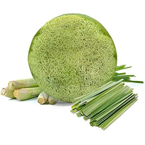 Loofah Soap Lemongrass | Large Exfoliating & Therapeutic Hand Made Loofa Soap Luffa Bar Sponge with Organic Essential Oils & Dead Sea Salts | 250g/8.8oz Cover
