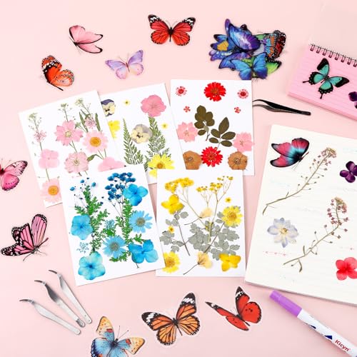 Kit artesanal con 130 flores prensadas secas y stickers miniatura 4