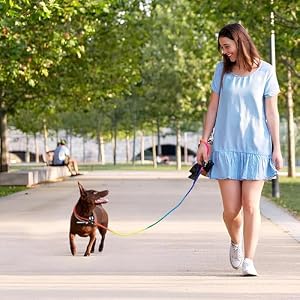 3pcs Slip Lead Dog Leash, no Pull Pet Training Leash for Medium and Small Dogs,Two Leather stoppers (5feet,Rainbow) 3pcs Slip Lead Dog Leash, no Pull Pet Training Leash for Medium and Small Dogs,Two Leather stoppers (5feet,Rainbow)