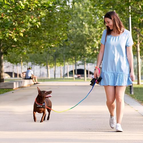 3pcs Slip Lead Dog Leash, no Pull Pet Training Leash for Medium and Small Dogs,Two Leather stoppers (5feet,Rainbow) 3pcs Slip Lead Dog Leash, no Pull Pet Training Leash for Medium and Small Dogs,Two Leather stoppers (5feet,Rainbow)