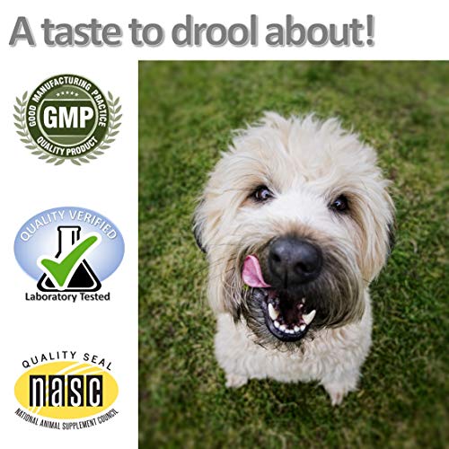 Vet Worthy Bladder Aid - Chewable Tablet to Support Healthy Bladder Control and Normal Urination - Dog Supplement with Pumpkin Root, Cranberry, Rehamannia Root and More - Liver Flavor, 75-Count