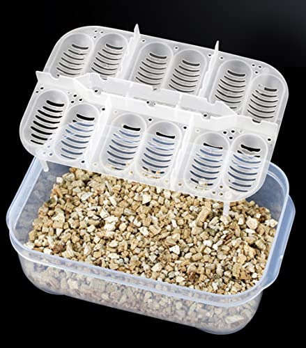 OMEM Scatola di schiusa del Rettile,Incubatrice